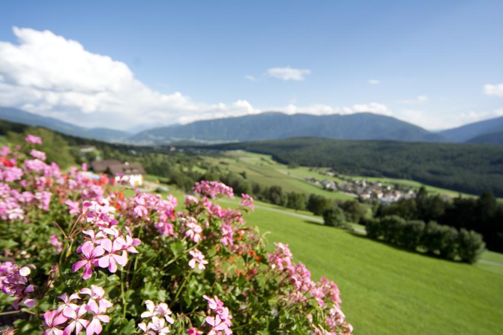 Oberbaumgartnerhof Villa Falzes Rom bilde